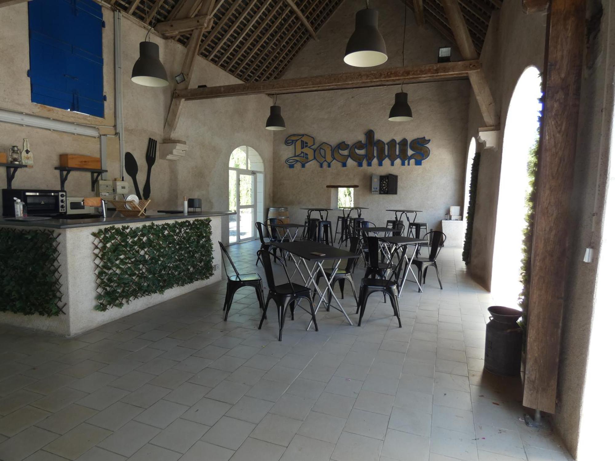 Moulin De Bacchus - Chateaux De La Loire Chancay Экстерьер фото