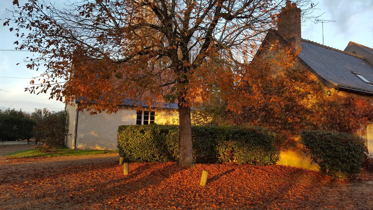 Moulin De Bacchus - Chateaux De La Loire Chancay Экстерьер фото