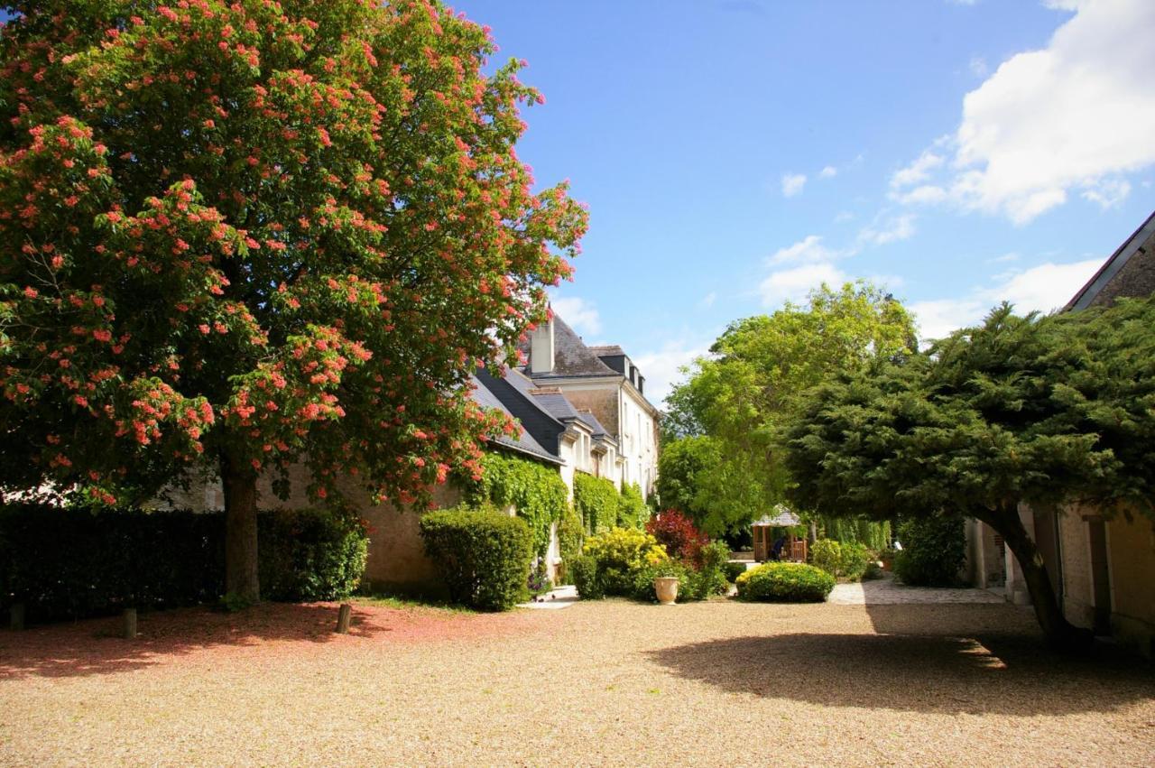 Moulin De Bacchus - Chateaux De La Loire Chancay Экстерьер фото